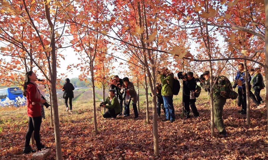 采风天路上 悠游山水间 ——安丘市老年大学摄影班采风纪实